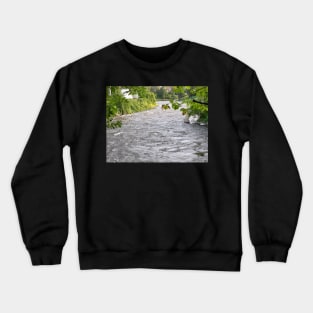 River Crewneck Sweatshirt